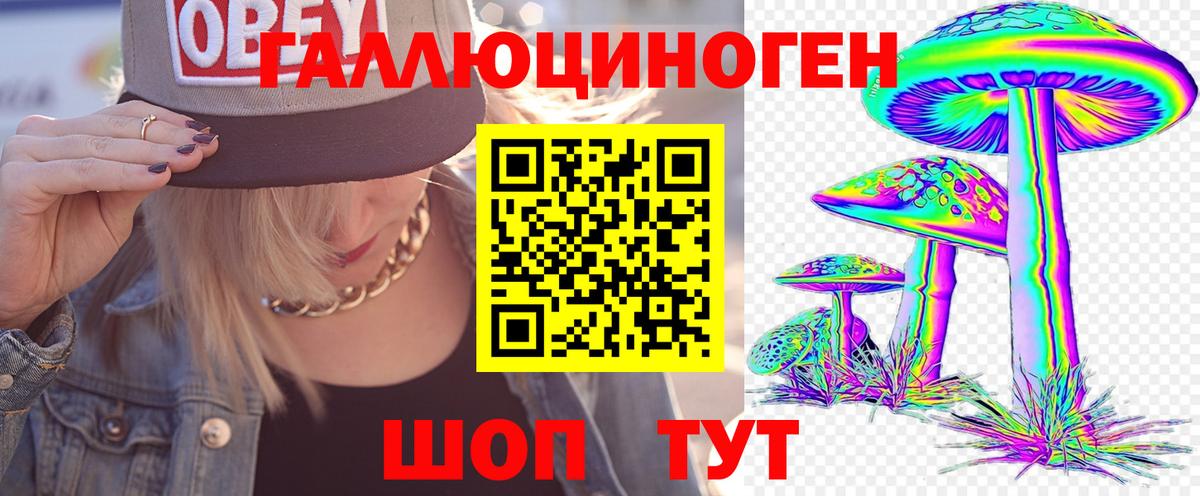 Галлюциногенные грибы Psilocybe Каменск-Шахтинский