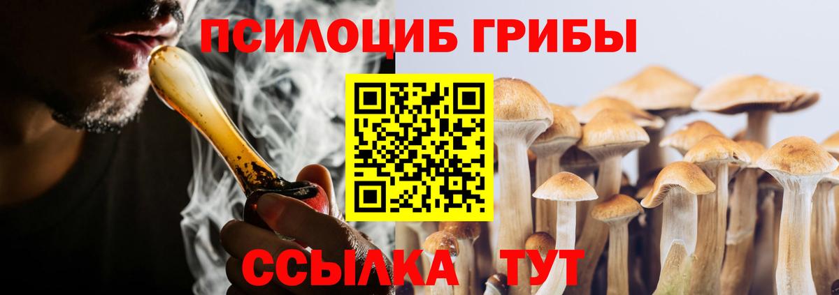 Каменск-Шахтинский  Галлюциногенные грибы мицелий  Вход с VPN 